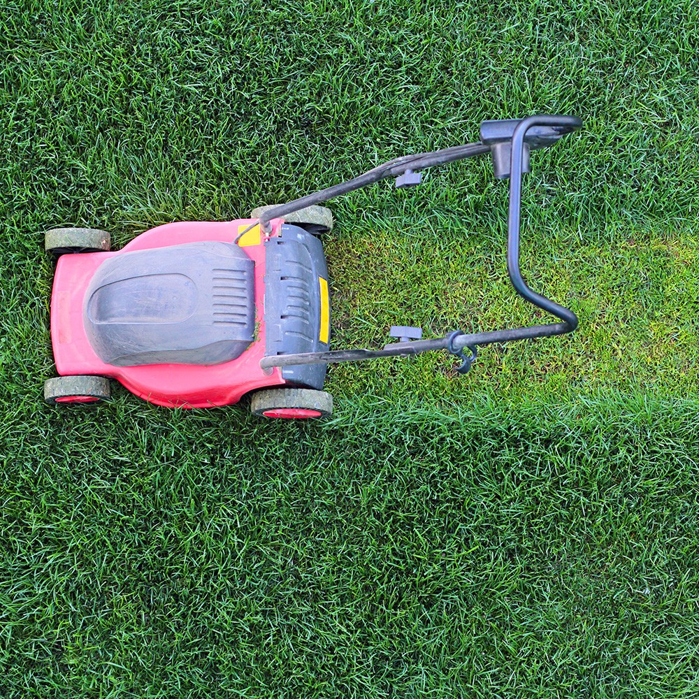 SMICTOM_LGB_Jardin_Pelouse_Tonte_Mulching_2